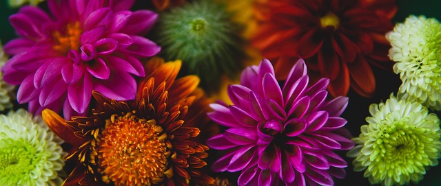 现了她们的 现了她们的