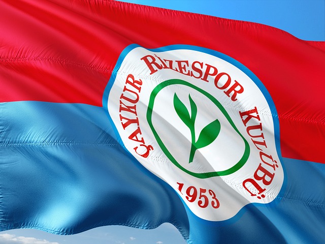 国际竞争力 国际竞争力