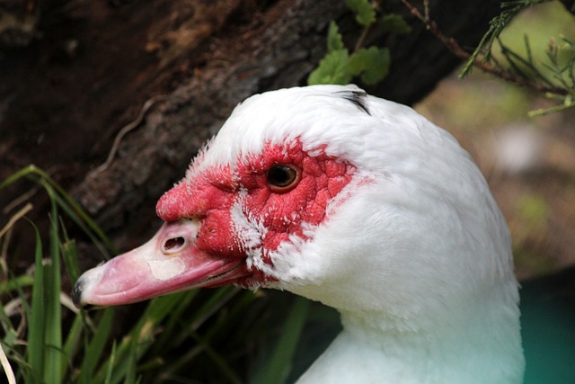 对成功实践 对成功实践