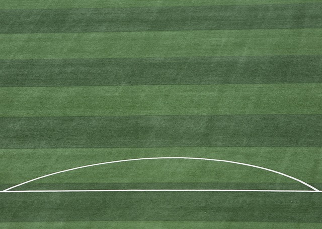 比赛的心理 比赛的心理