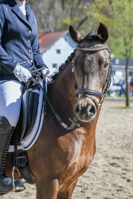 这一成绩并 这一成绩并