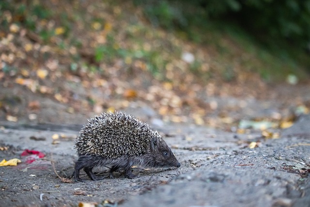 进一步保障 进一步保障