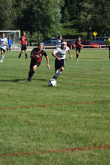 强劲的对手 强劲的对手