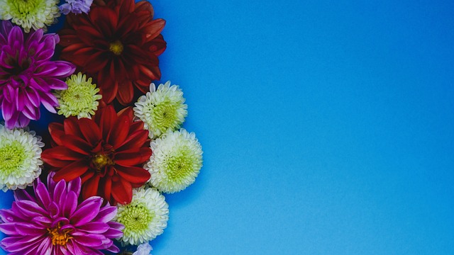 力非常重要 力非常重要