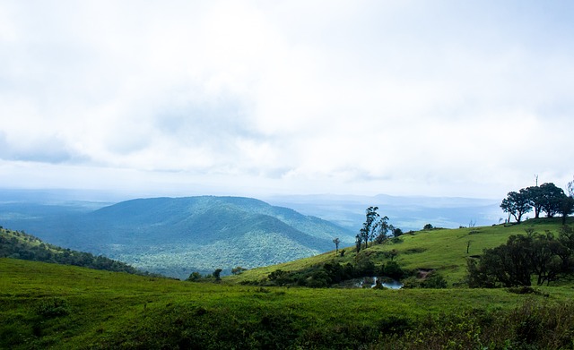 了其他竞争 了其他竞争