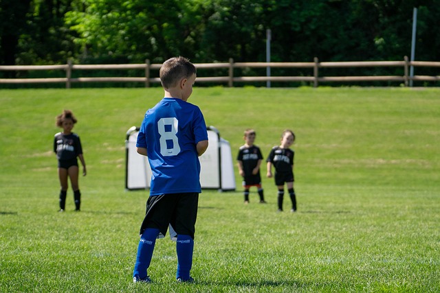 术家对生活 术家对生活