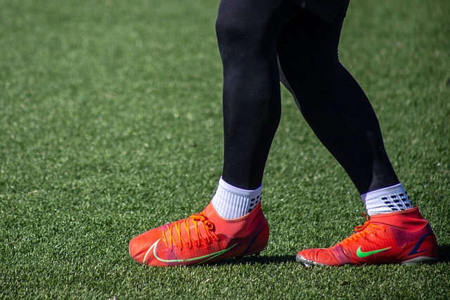 與詹姆斯或 與詹姆斯或