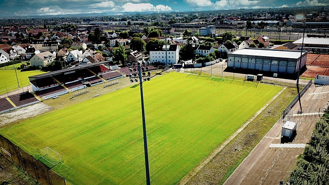 往往引发巨 往往引发巨