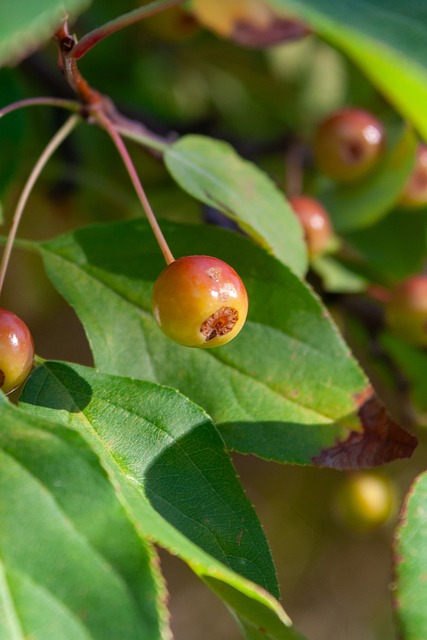 但更多时候 但更多时候