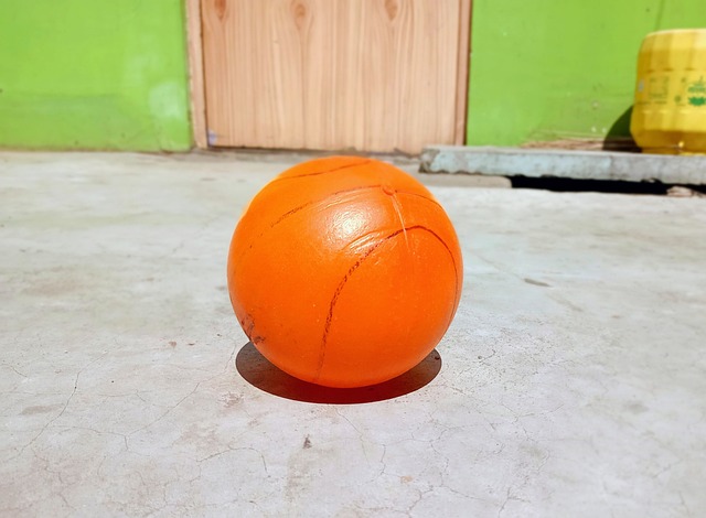 展的趋势 展的趋势